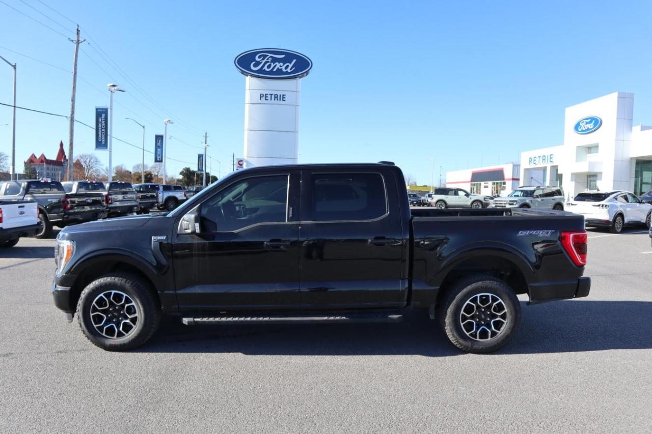 Used 2021 Ford F-150 XLT for sale in Kingston, ON