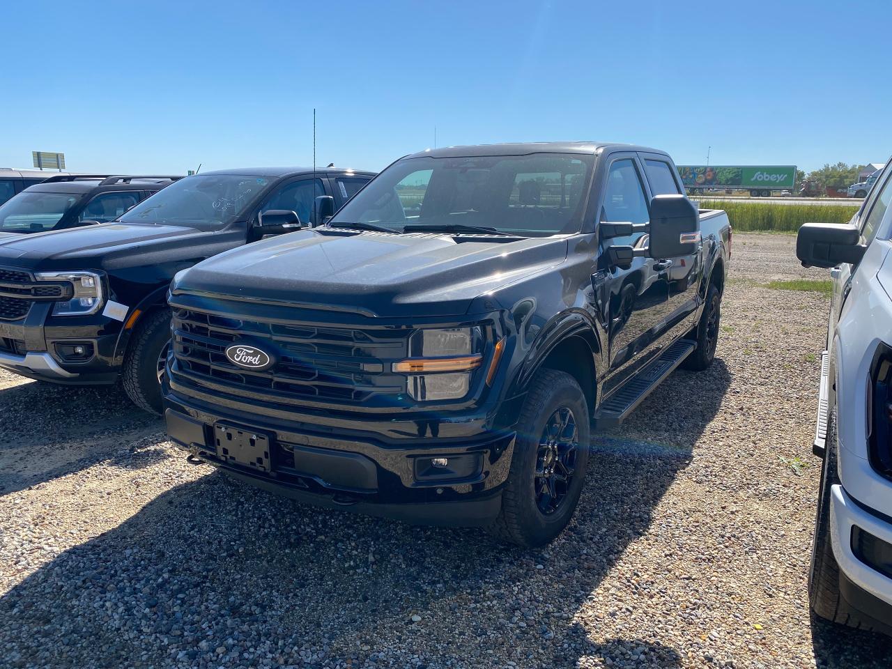 New 2024 Ford F-150 XLT 4WD SuperCrew 5.5' Box 302A for sale in Elie, MB