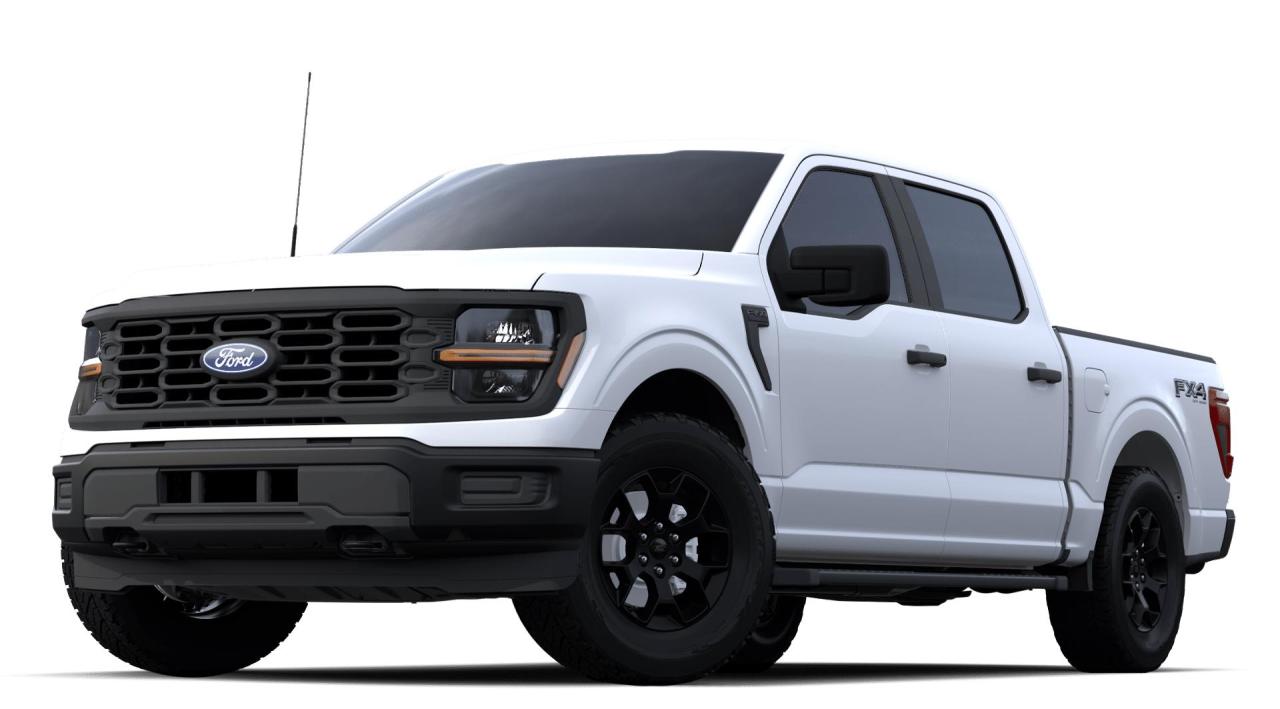 New 2024 Ford F-150 STX for sale in Salmon Arm, BC