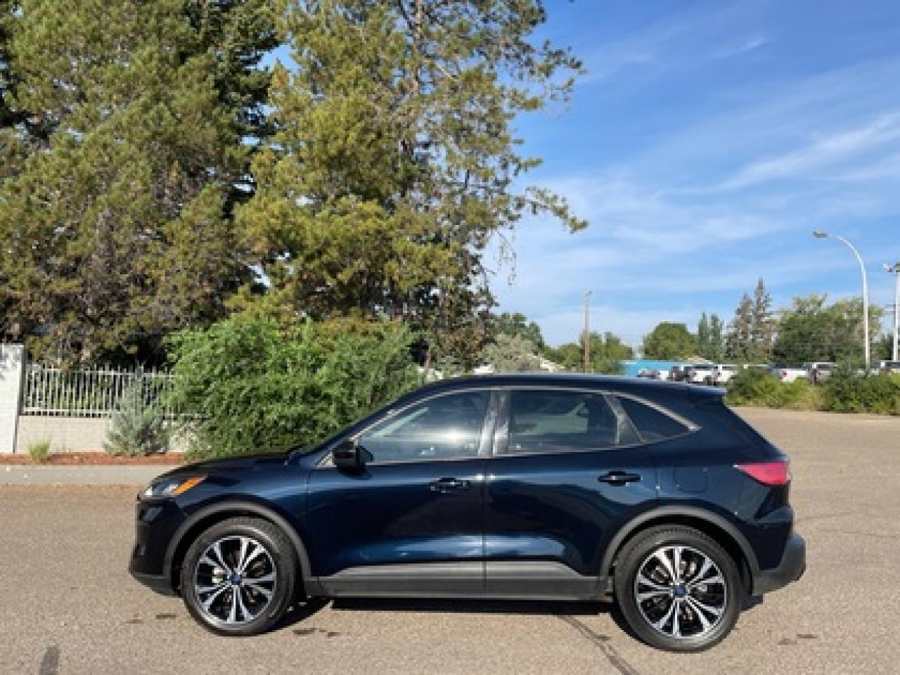 2021 Ford Escape  Photo3