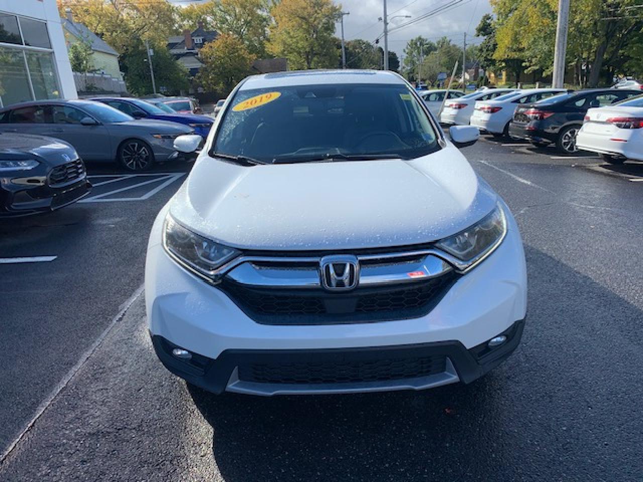 2019 Honda CR-V EX-L AWD Photo2