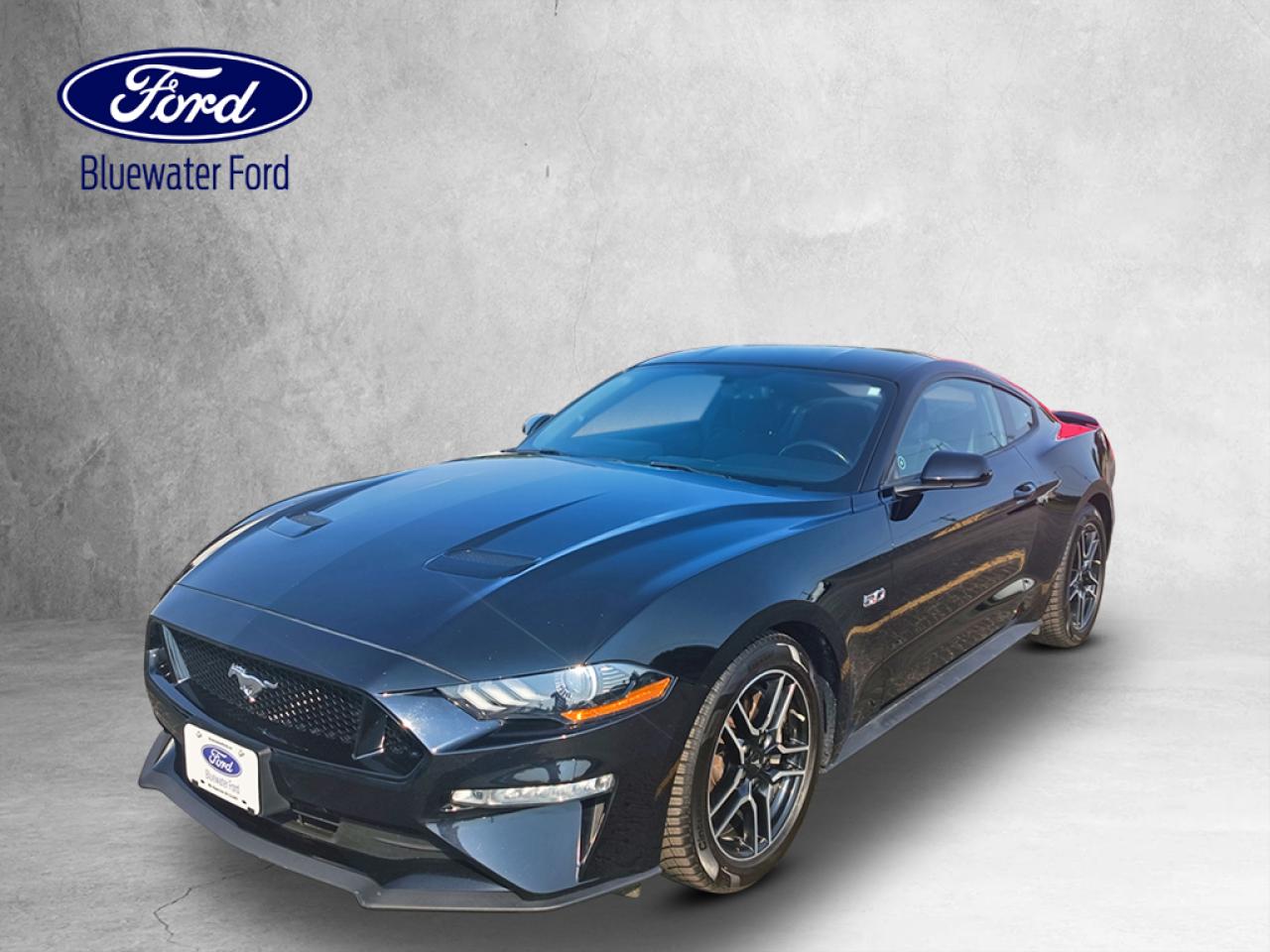 <p>GT FASTBACK

ENGINE: 5.0L TI-VCT V8
TRANSMISSION: 6-SPEED MANUAL
EQUIPMENT GROUP 300A
SHADOW BLACK
STANDARD PAINT
EBONY CLOTH BUCKET SEATS
ENGINE BLOCK HEATER</p>
<a href=http://www.bluewaterford.ca/used/Ford-Mustang-2019-id11262504.html>http://www.bluewaterford.ca/used/Ford-Mustang-2019-id11262504.html</a>