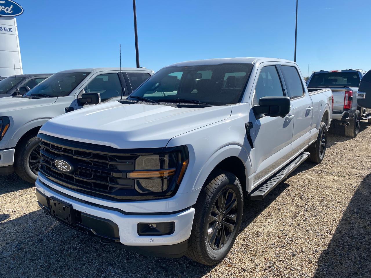 New 2024 Ford F-150 XLT 4WD SuperCrew 6.5' Box 302A for sale in Elie, MB