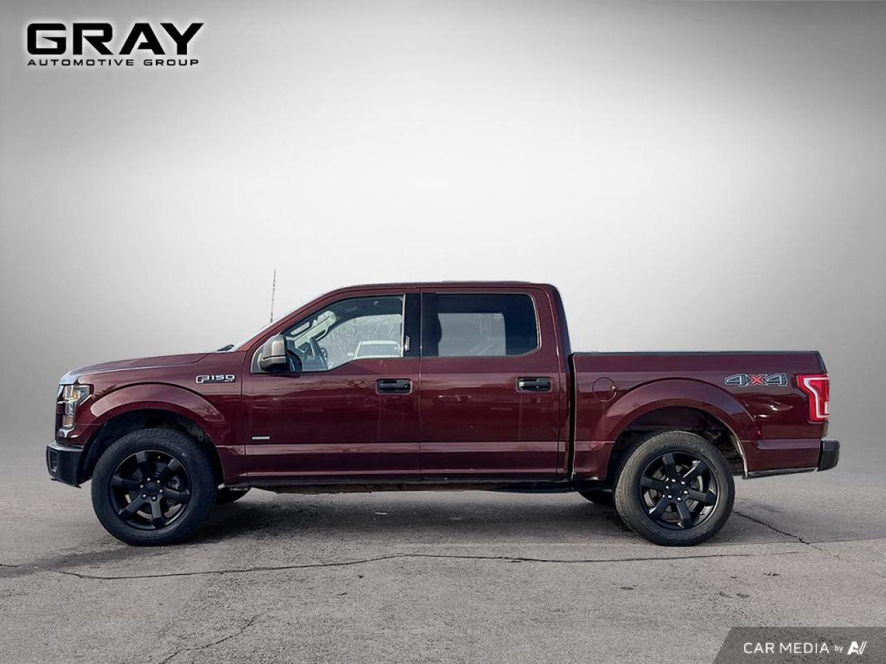 2016 Ford F-150 XLT/CERTIFIED/2 YR UNLIMITED KM WARRANTY/LEATHER - Photo #2