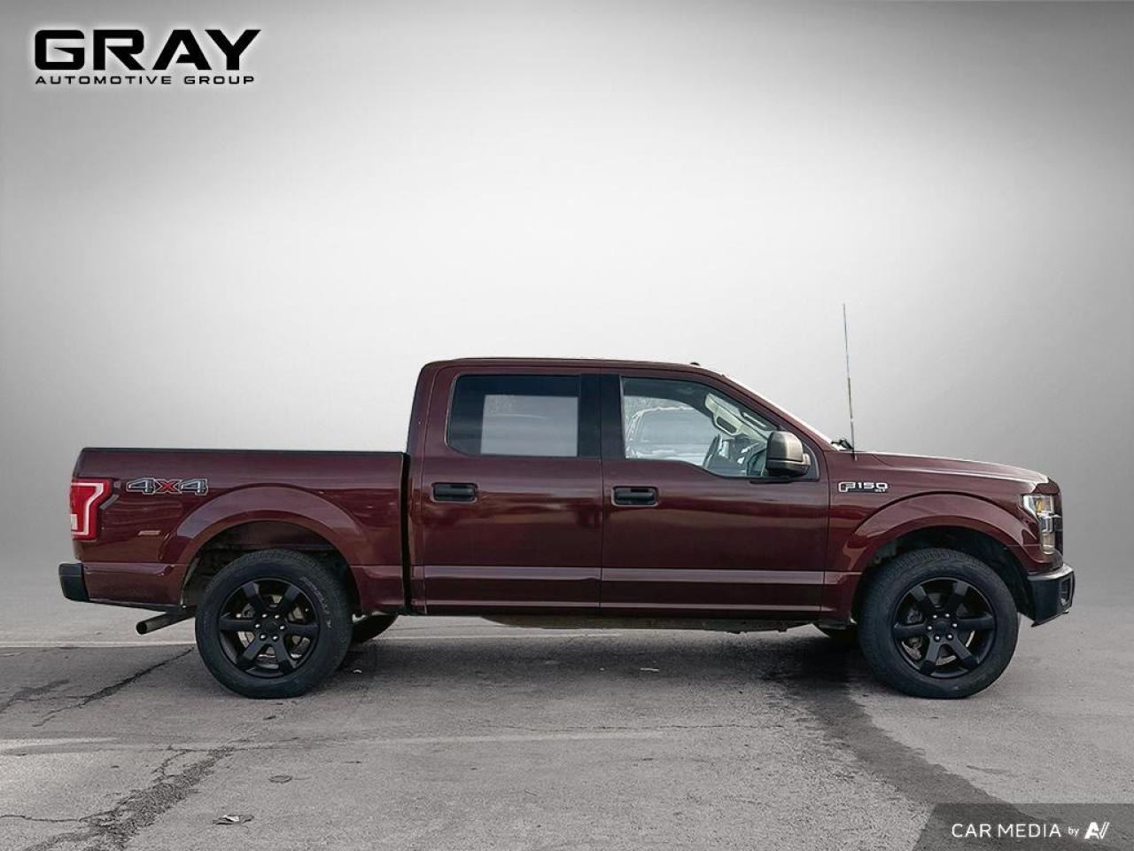 2016 Ford F-150 XLT/CERTIFIED/2 YR UNLIMITED KM WARRANTY/LEATHER - Photo #6