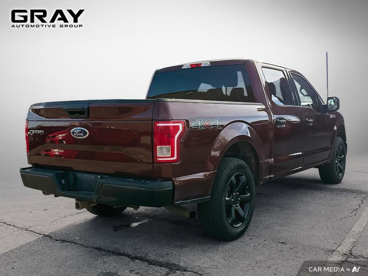 2016 Ford F-150 XLT/CERTIFIED/2 YR UNLIMITED KM WARRANTY/LEATHER - Photo #5