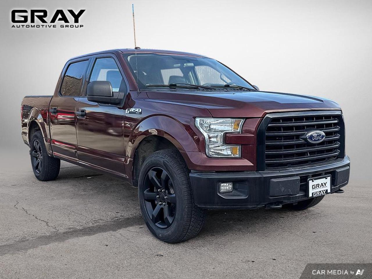 2016 Ford F-150 XLT/CERTIFIED/2 YR UNLIMITED KM WARRANTY/LEATHER - Photo #7