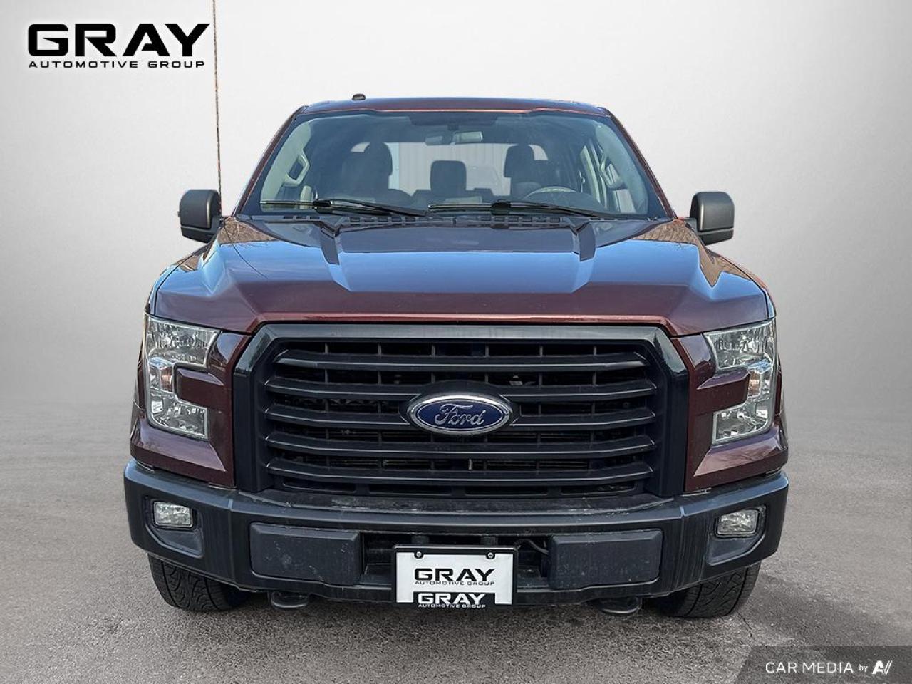 2016 Ford F-150 XLT/CERTIFIED/2 YR UNLIMITED KM WARRANTY/LEATHER - Photo #8