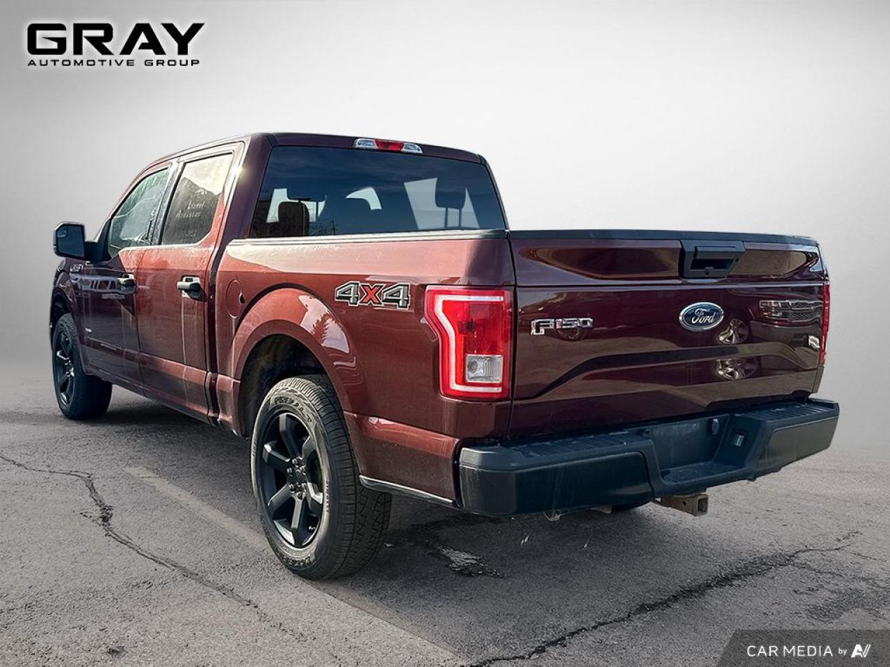 2016 Ford F-150 XLT/CERTIFIED/2 YR UNLIMITED KM WARRANTY/LEATHER Photo2