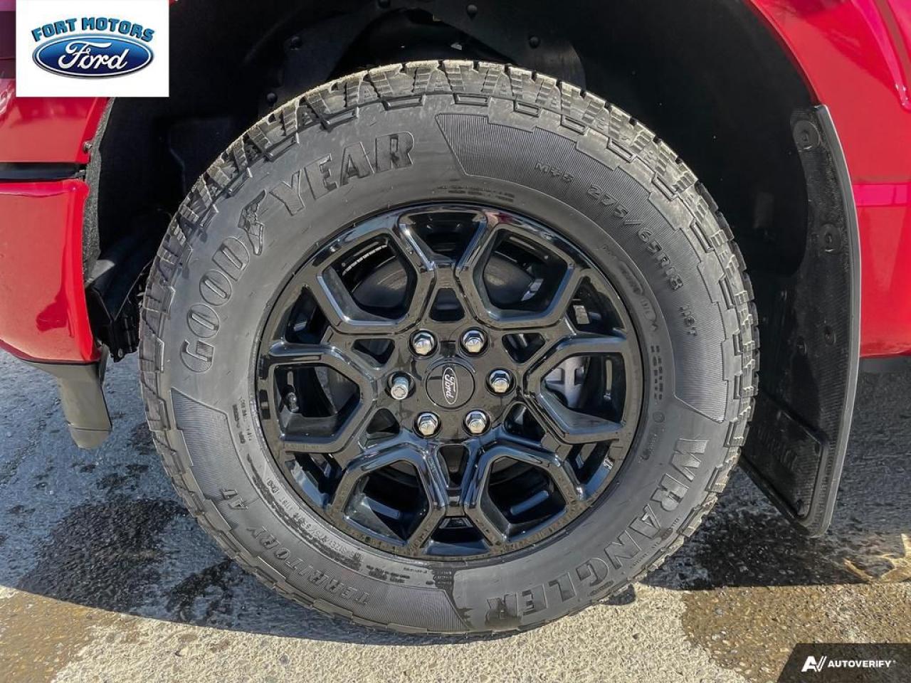 2024 Ford F-150 XLT Photo5