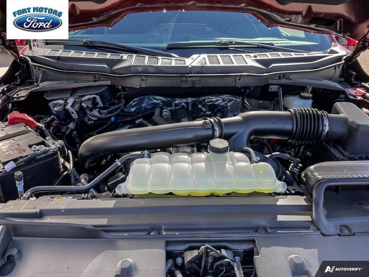 2024 Ford F-150 XLT Photo5