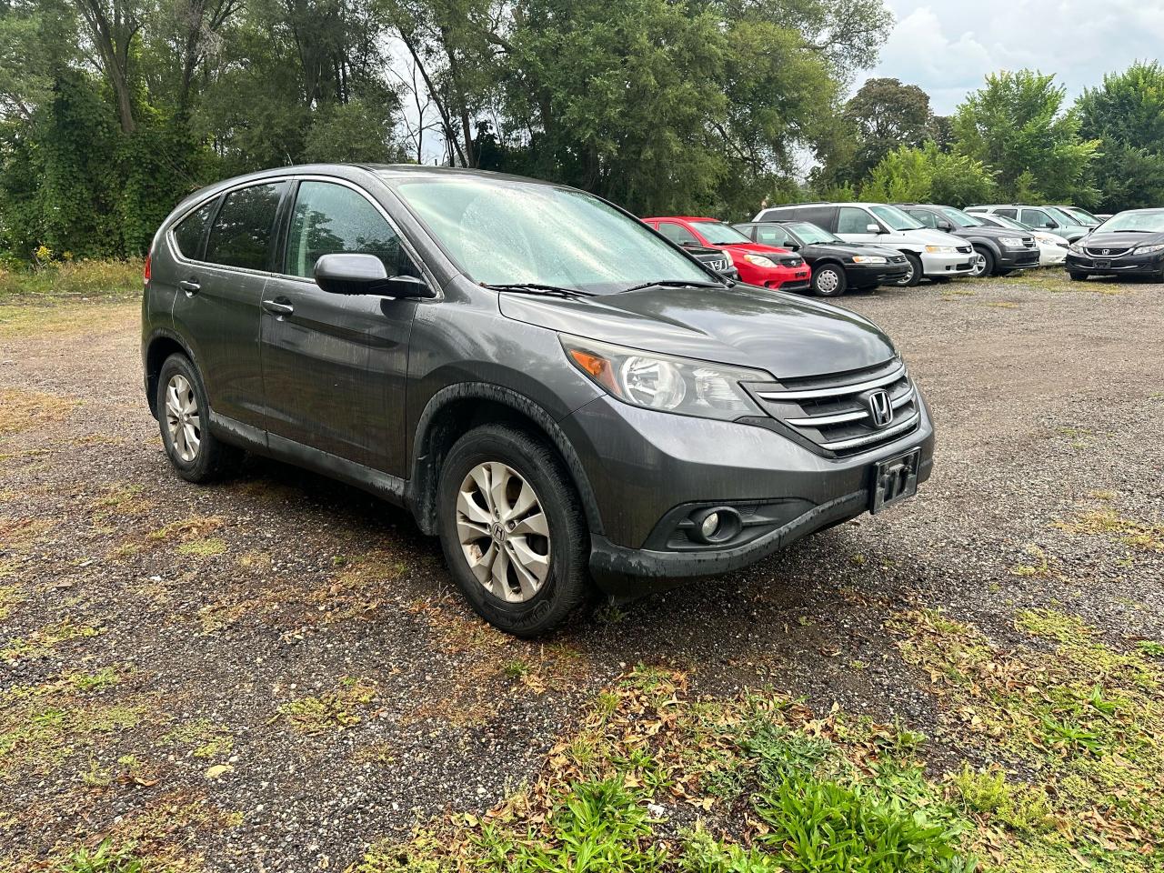 2014 Honda CR-V EX - Photo #6