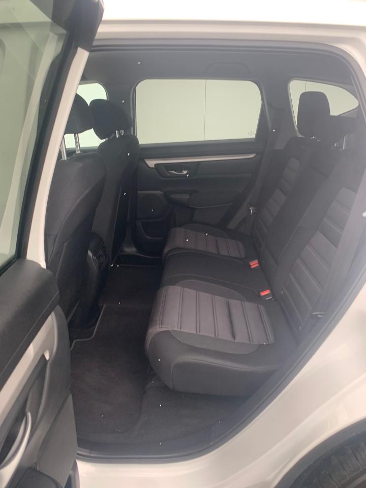2019 Honda CR-V LX Photo