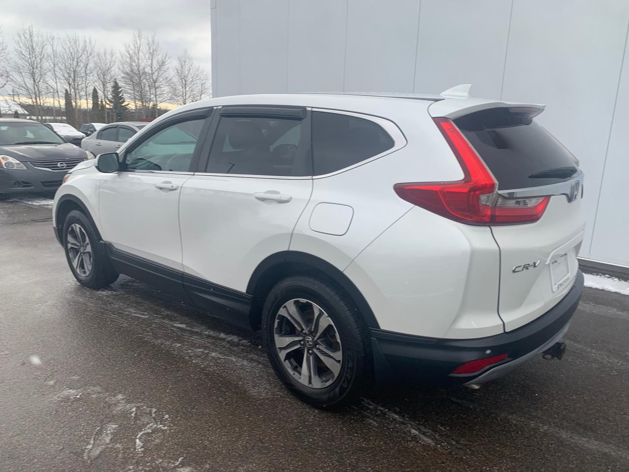 2019 Honda CR-V LX Photo