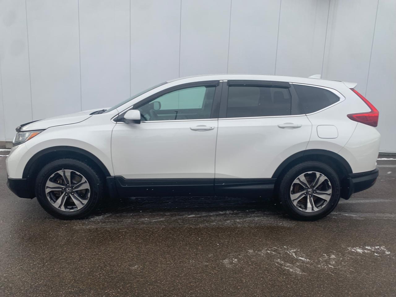 2019 Honda CR-V LX Photo