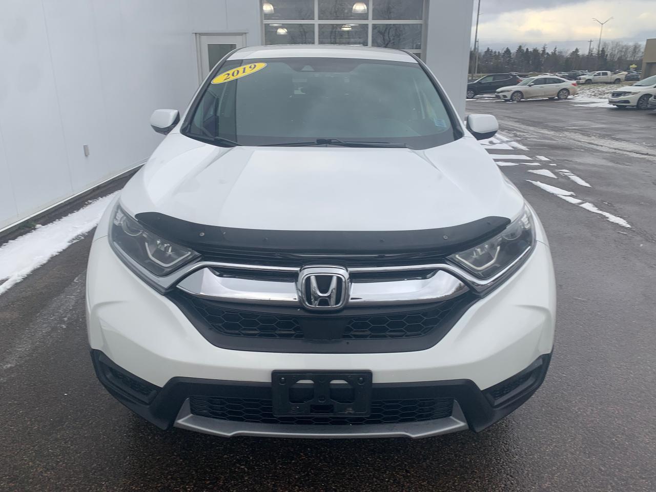 2019 Honda CR-V LX Photo