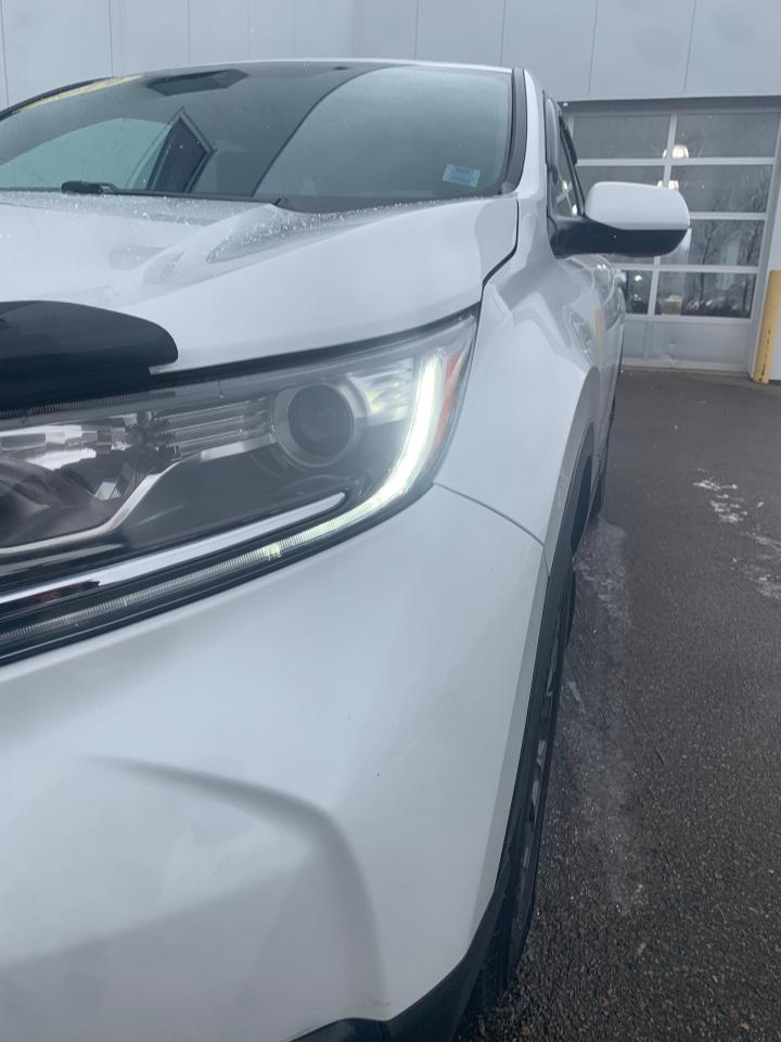 2019 Honda CR-V LX Photo