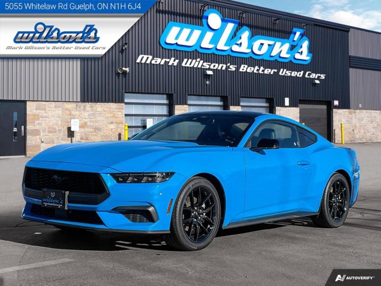 Used 2024 Ford Mustang EcoBoost Premium Nite Pony, Active Exhaust, Leather, Heated + Ventilated Seats, Adaptive Cruise for sale in Guelph, ON