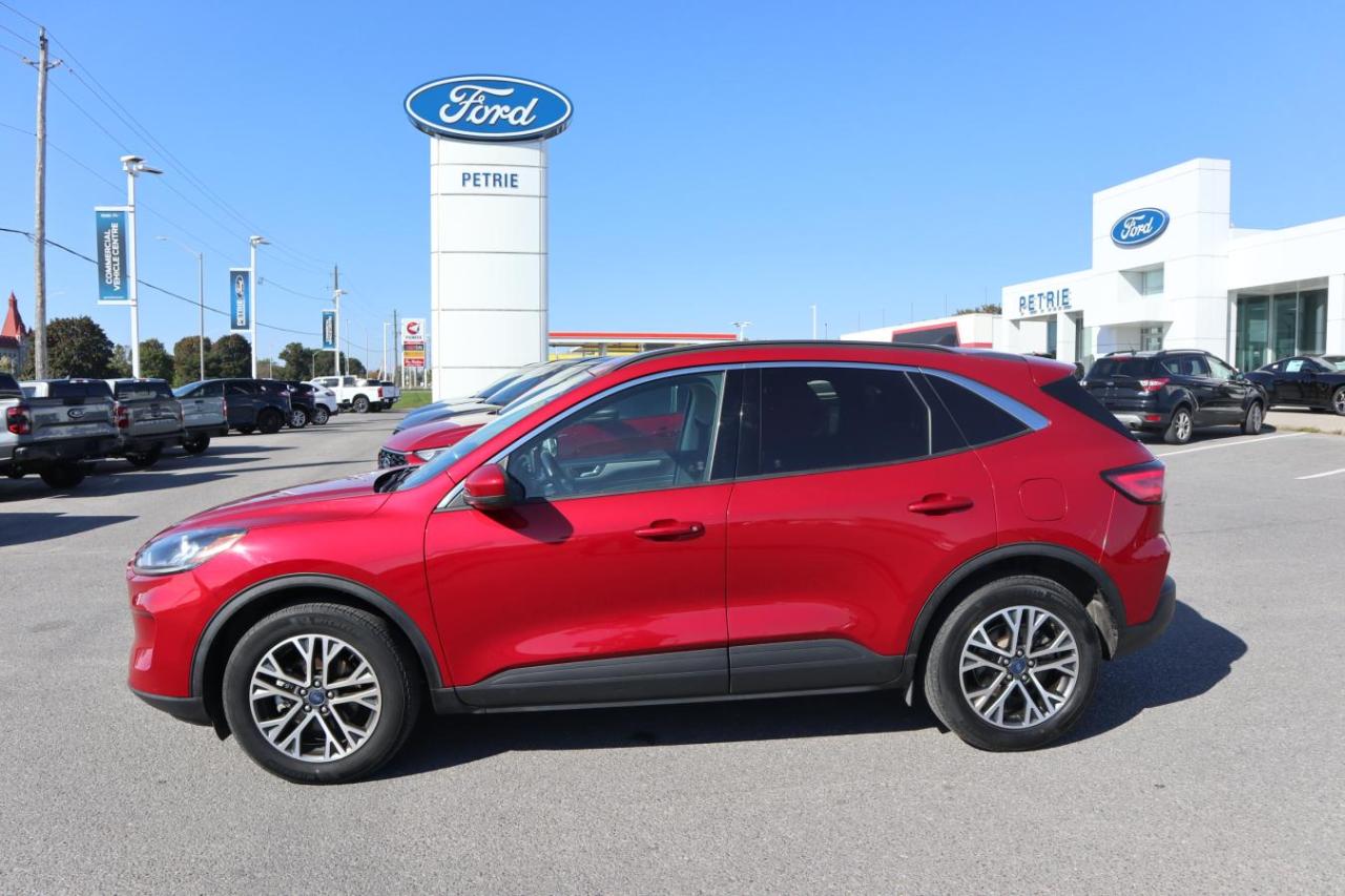 Used 2021 Ford Escape SEL for sale in Kingston, ON