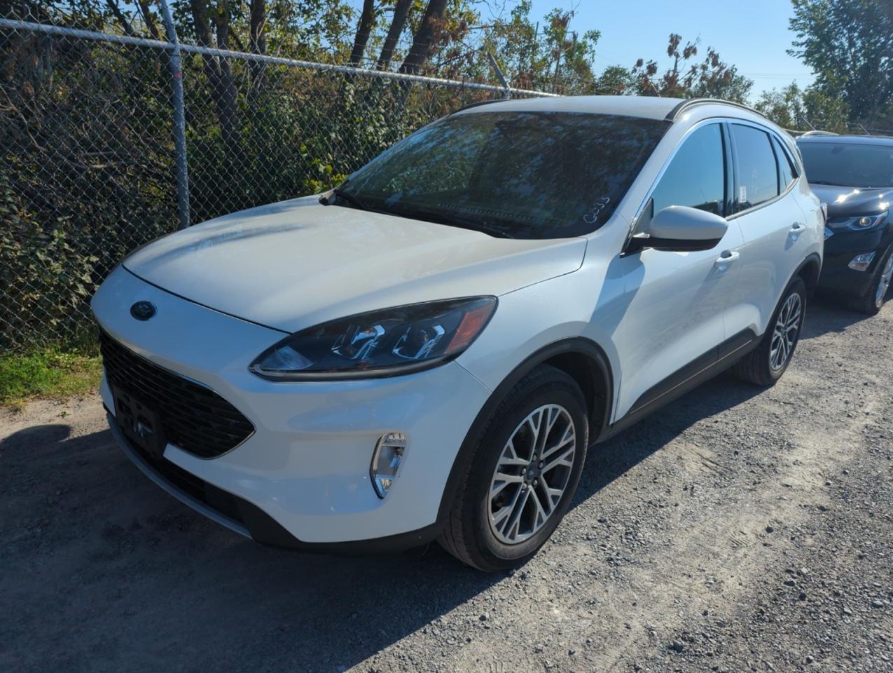 Used 2020 Ford Escape  for sale in Kingston, ON