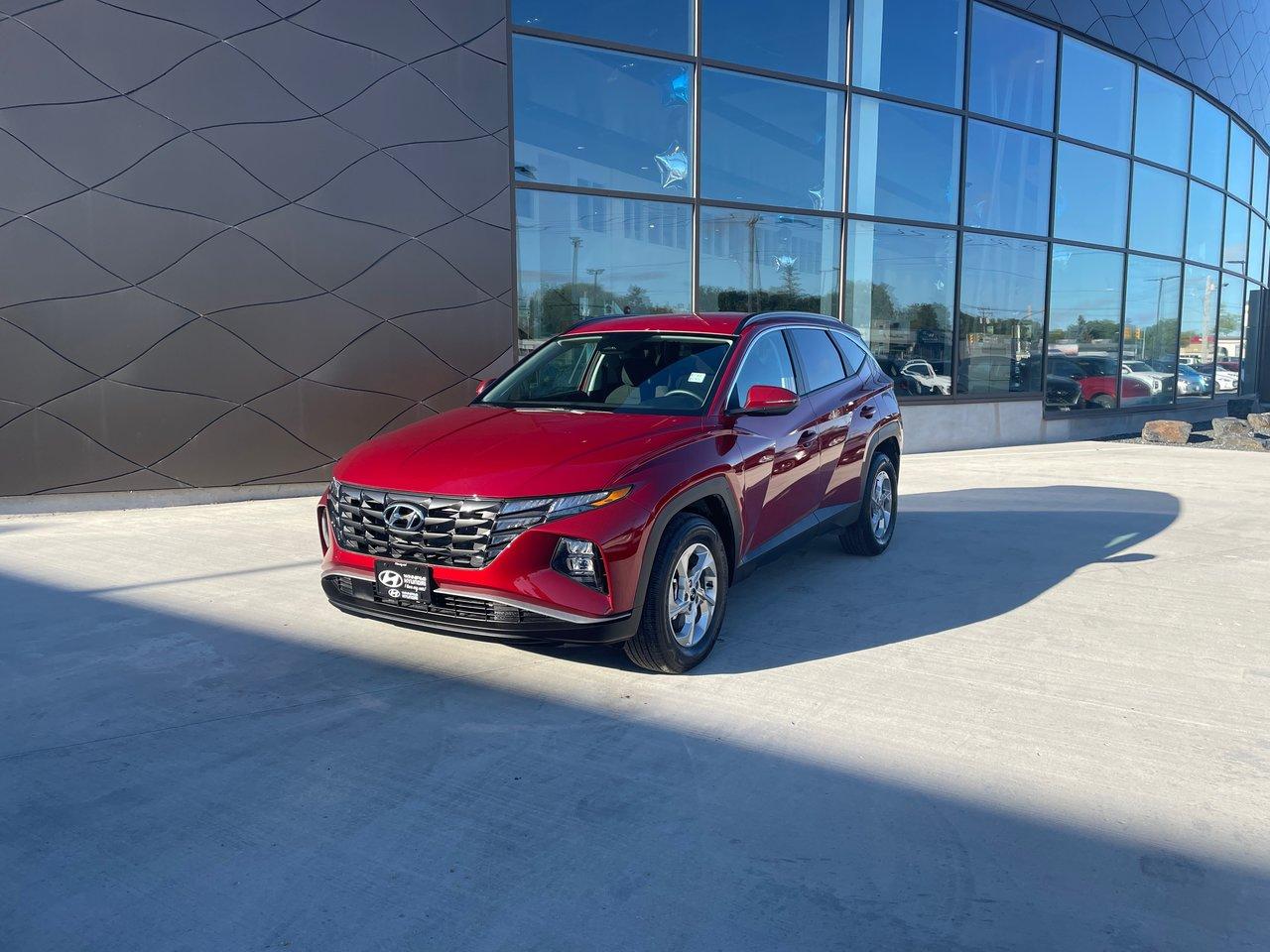 Used 2024 Hyundai Tucson Preferred for sale in Winnipeg, MB