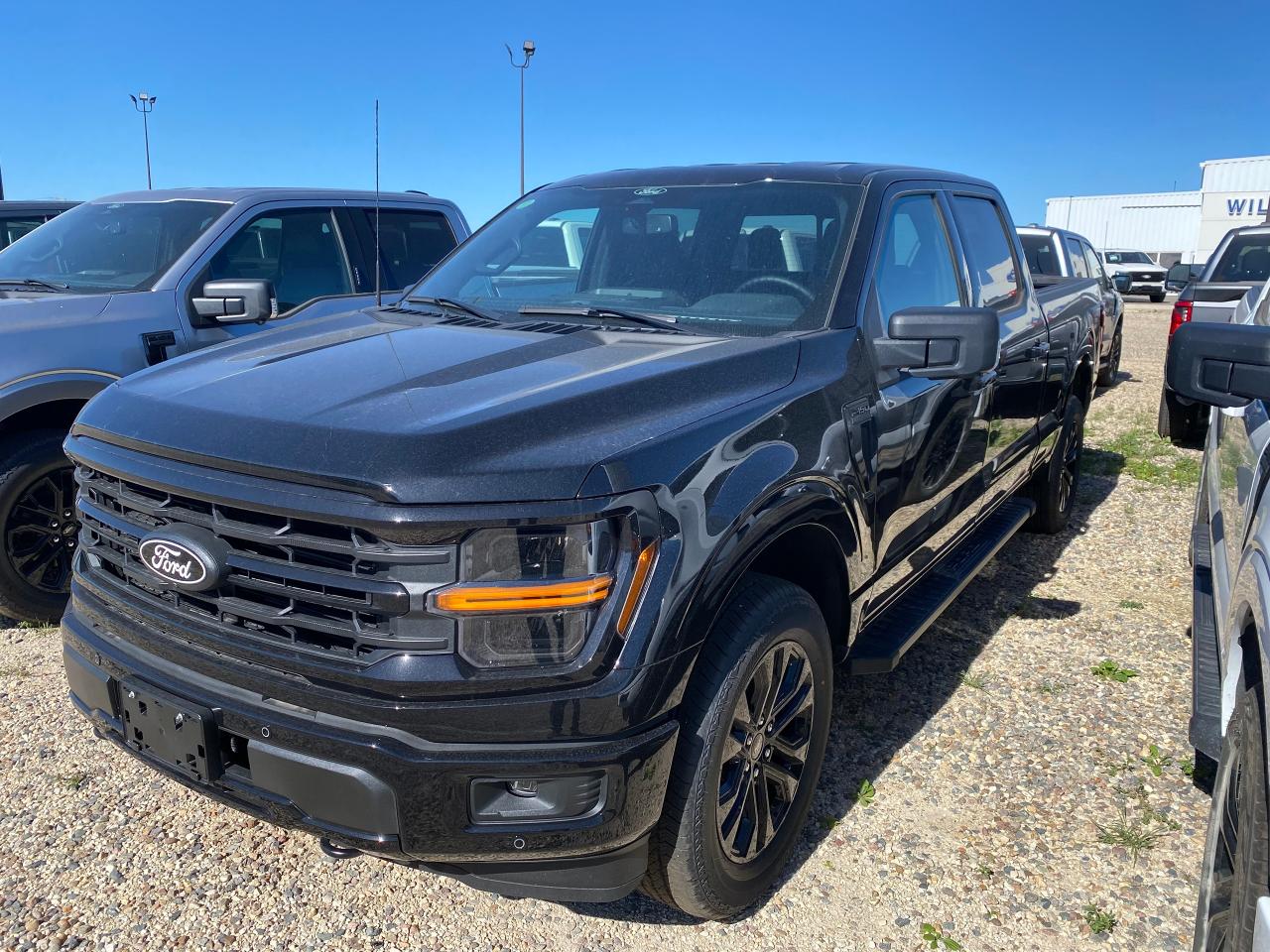 New 2024 Ford F-150 XLT 4WD SuperCrew 6.5' Box 302A for sale in Elie, MB