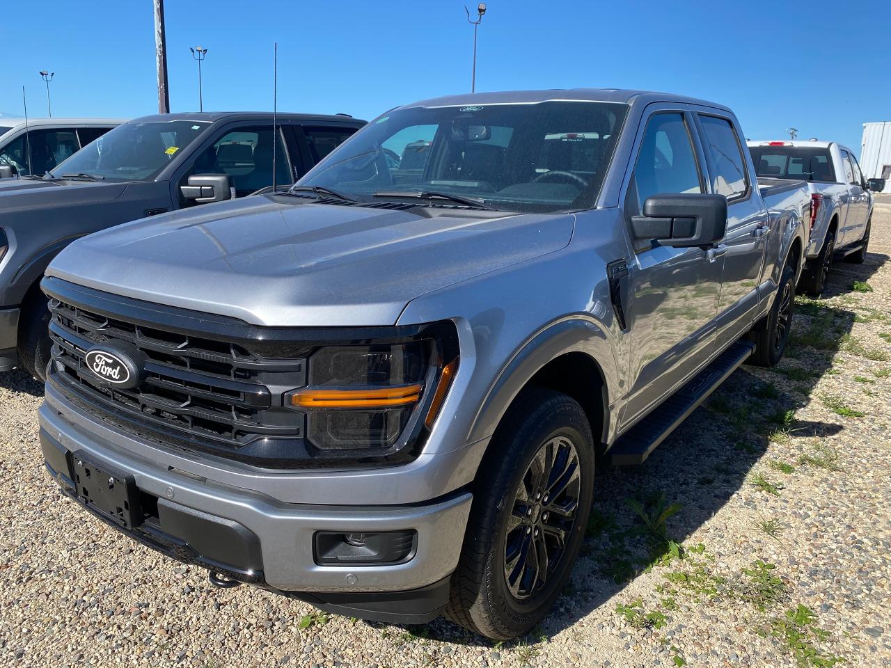 New 2024 Ford F-150 XLT 4WD SuperCrew 6.5' Box 303A for sale in Elie, MB