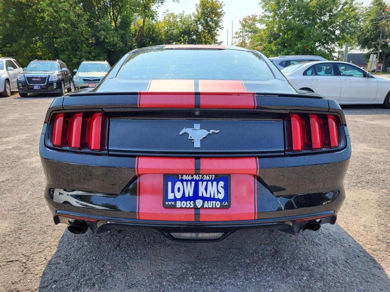 2017 Ford Mustang V6 FASTBACK Photo3