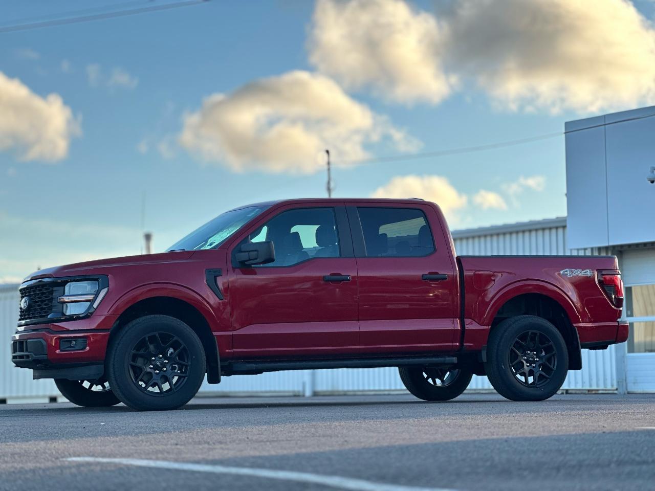 2024 Ford F-150 STX 4WD SUPERCREW 5.5' BOX Photo