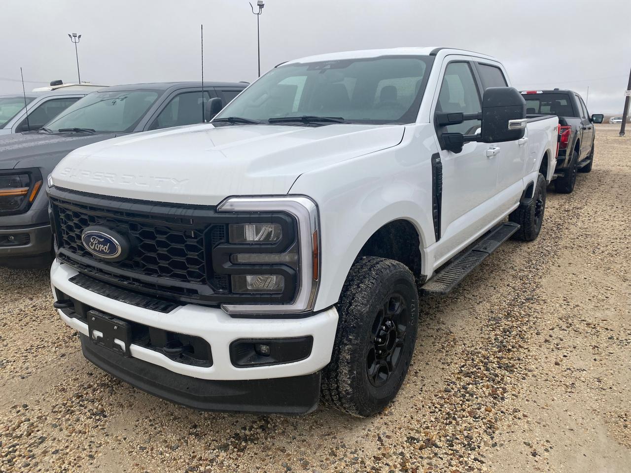 New 2024 Ford F-250 Super Duty SRW XLT 4WD Crew Cab 6.75' Box 603A for sale in Elie, MB