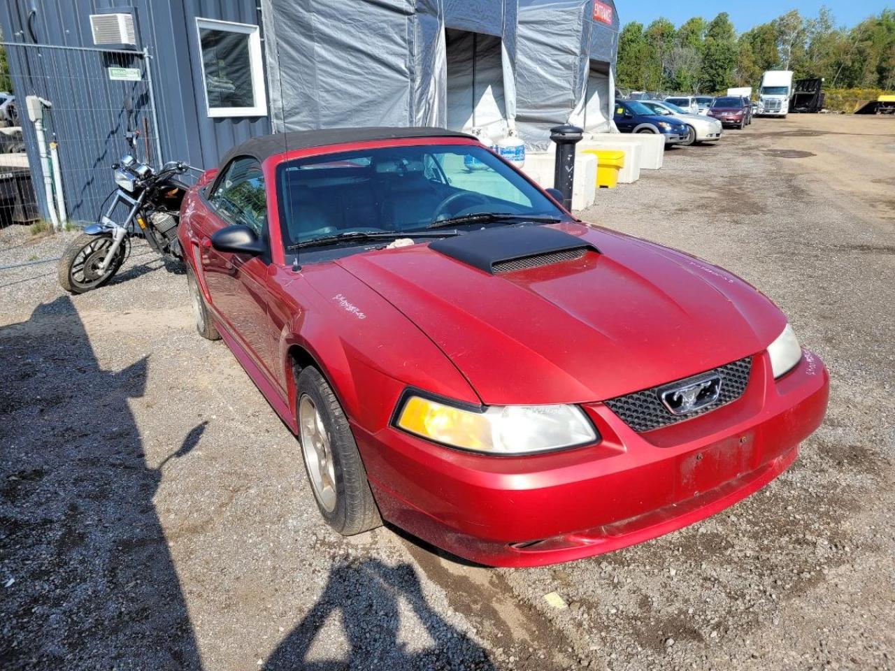 Used 2000 Ford Mustang  for sale in Peterborough, ON