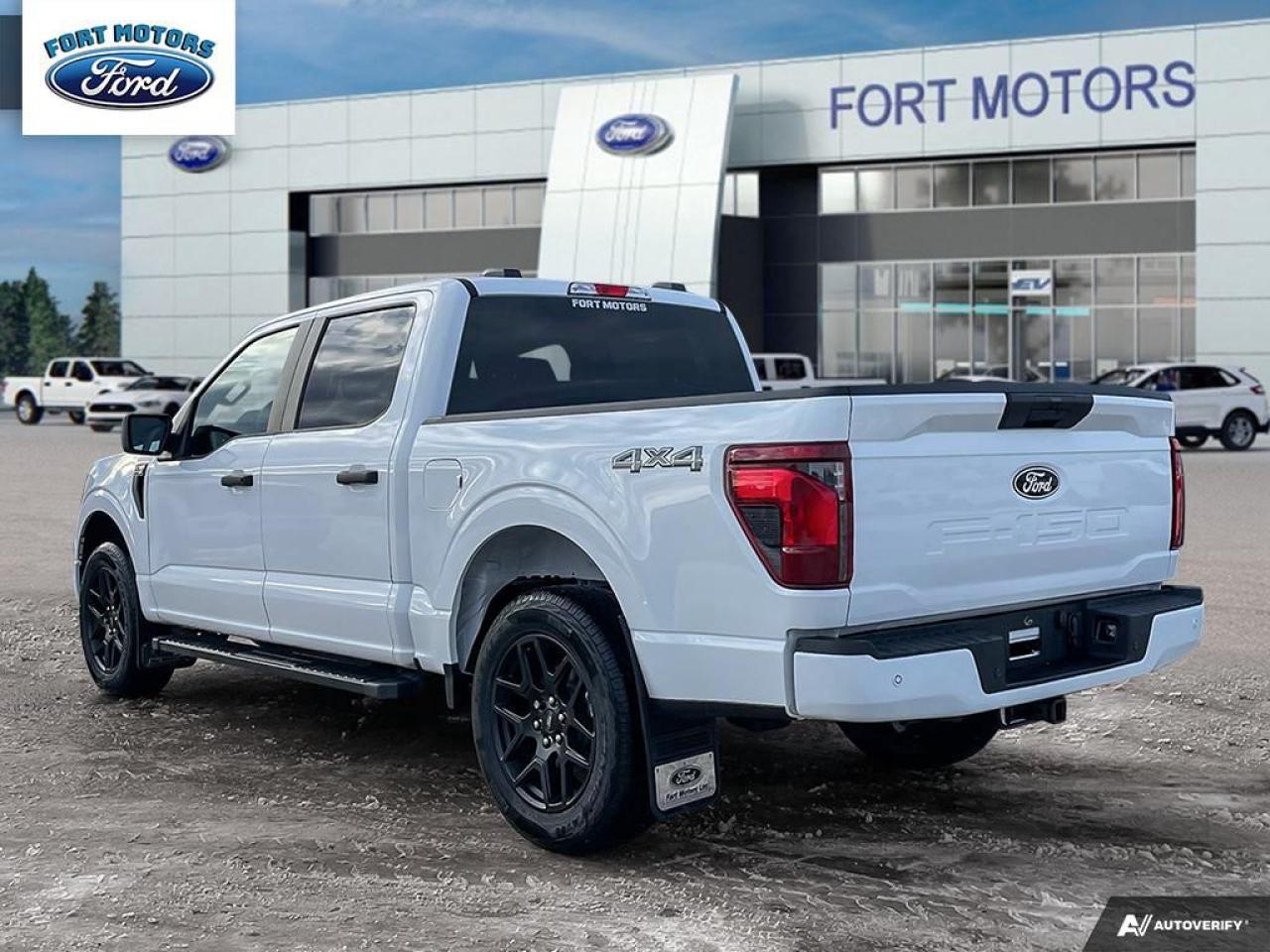 2024 Ford F-150 STX® Photo