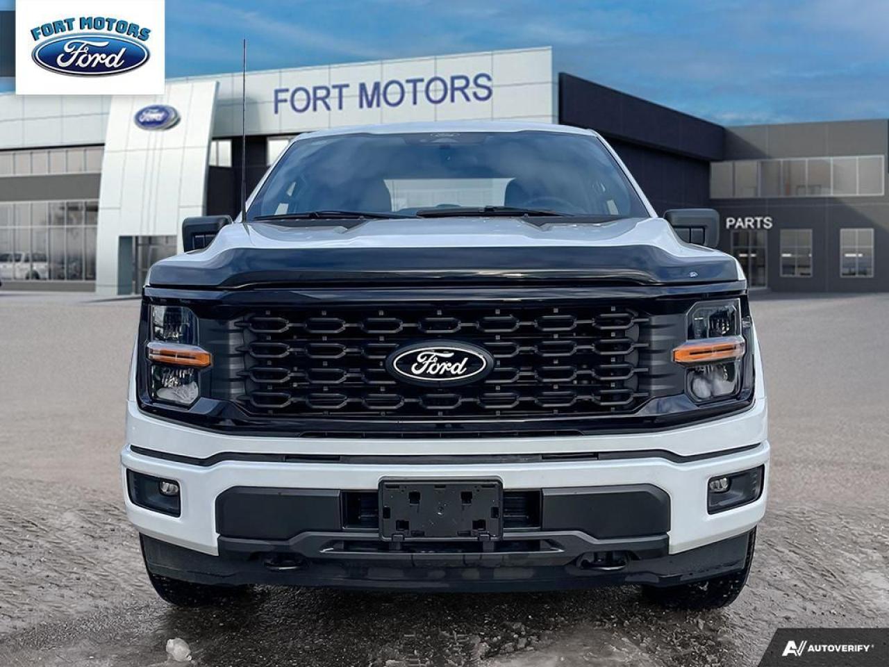 2024 Ford F-150 STX® Photo