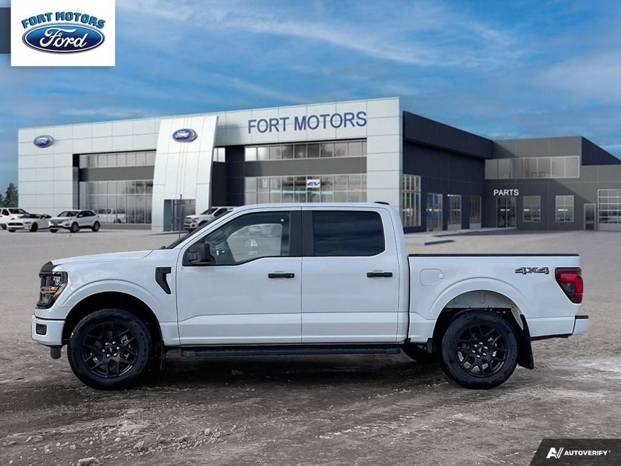 2024 Ford F-150 STX® Photo