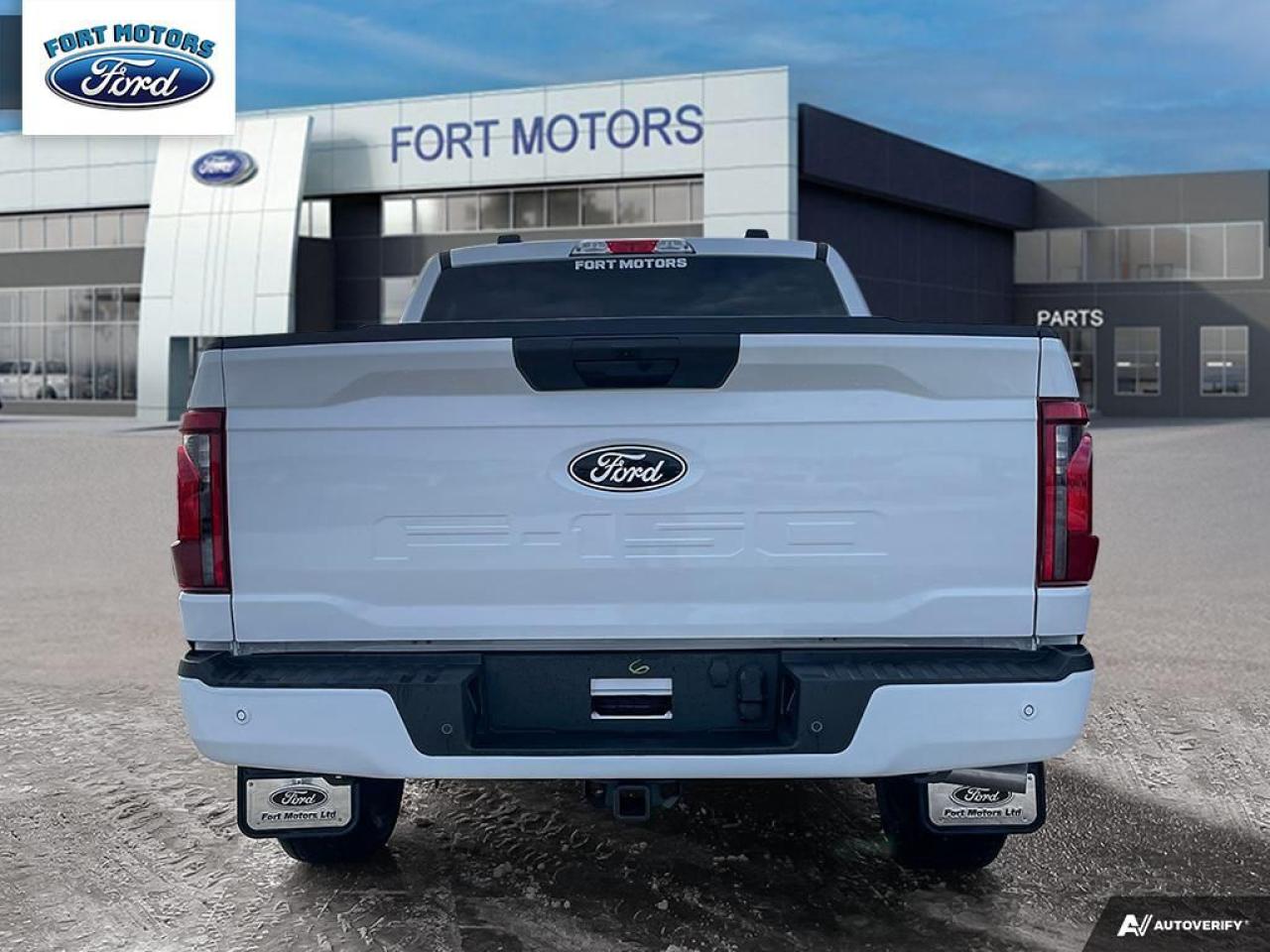 2024 Ford F-150 STX® Photo5