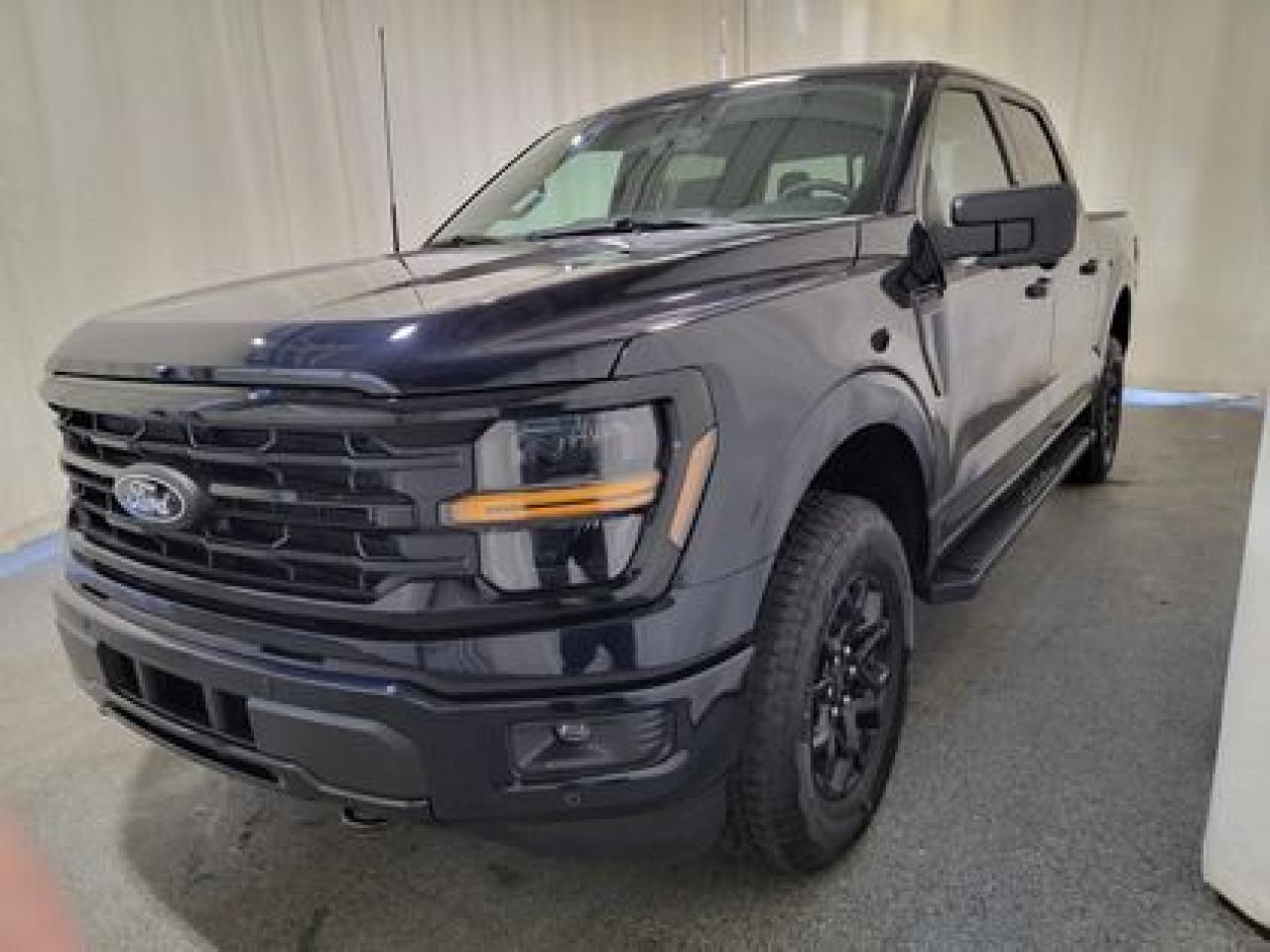 New 2024 Ford F-150 XLT W/ BLACK APPEARANCE PACKAGE for sale in Regina, SK