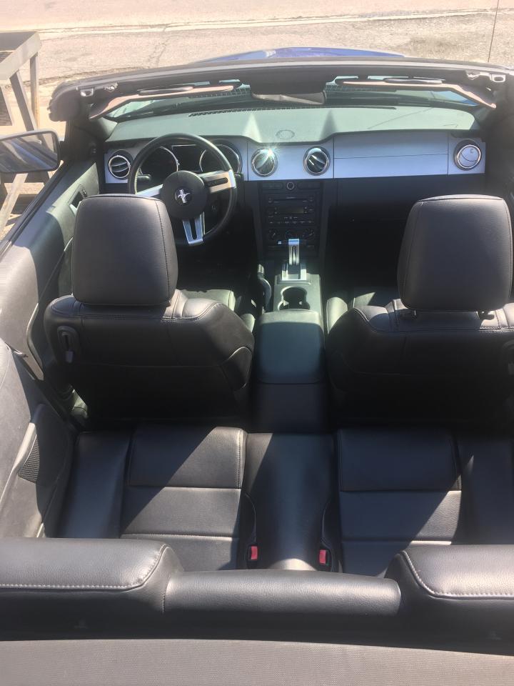 2007 Ford Mustang "Pony Pkg" Prem-Leather Rust Free Florida Car - Photo #6