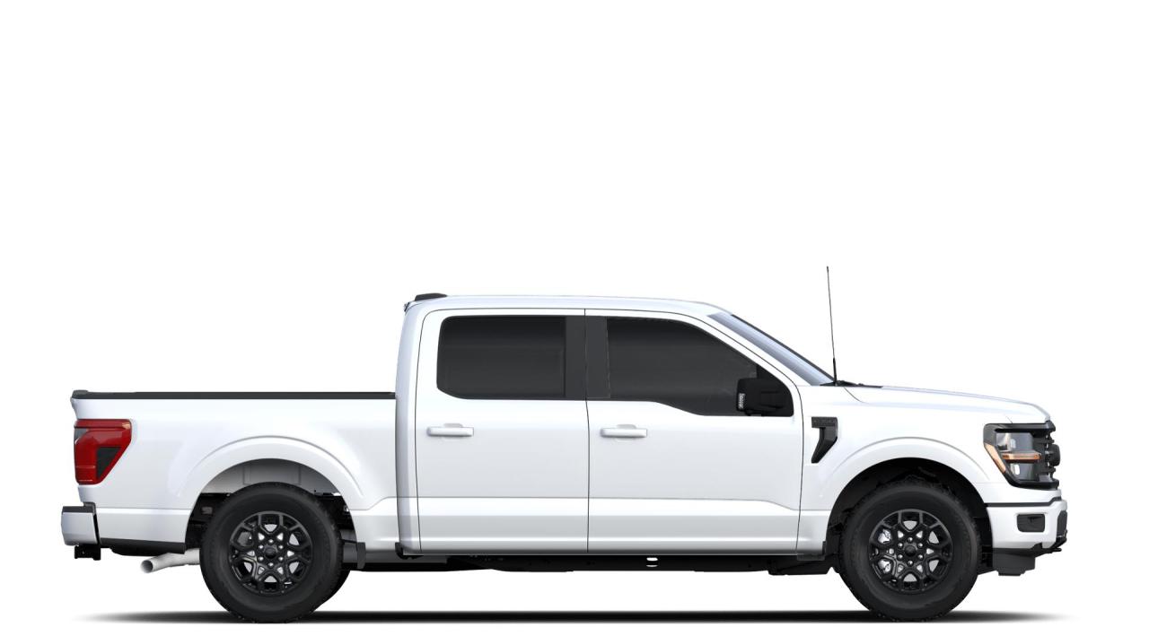 2024 Ford F-150 XLT Photo4