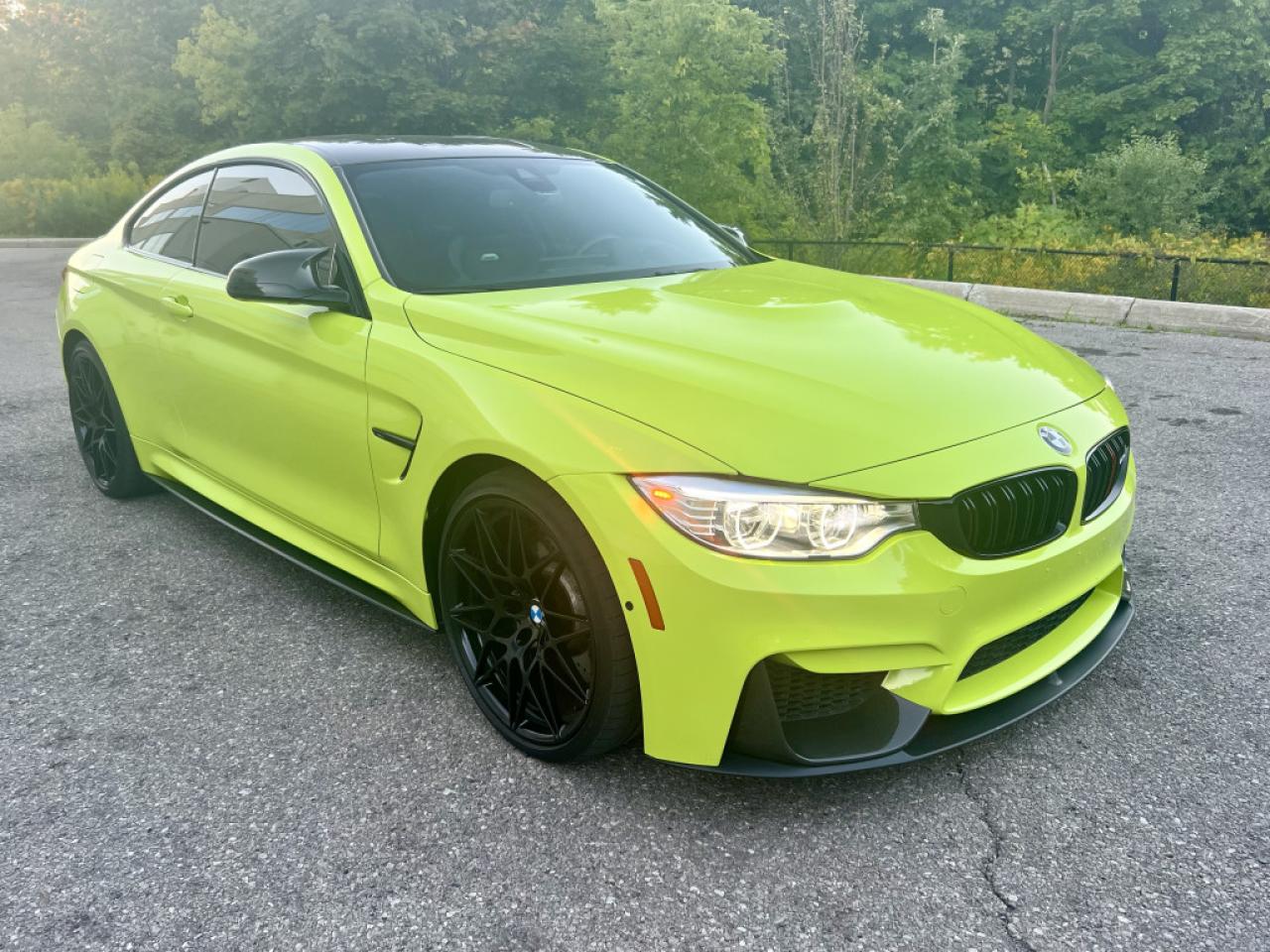 2017 BMW M4 ULTIMATE/COMPETITION PKG| CLEAN CARPROOF | CARBON PKG| HEADS UP DISPLAY|M SPORT SEATS - Photo #3