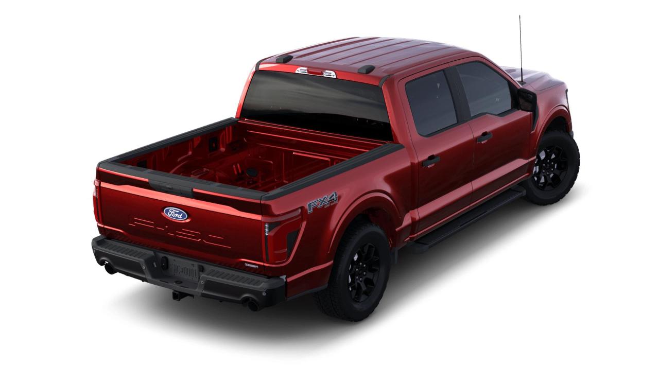 2024 Ford F-150 STX Photo2