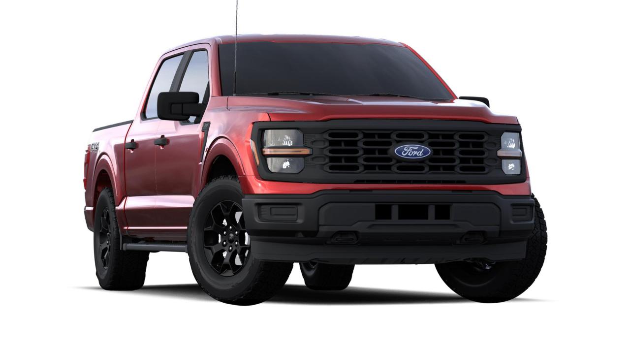 2024 Ford F-150 STX Photo3