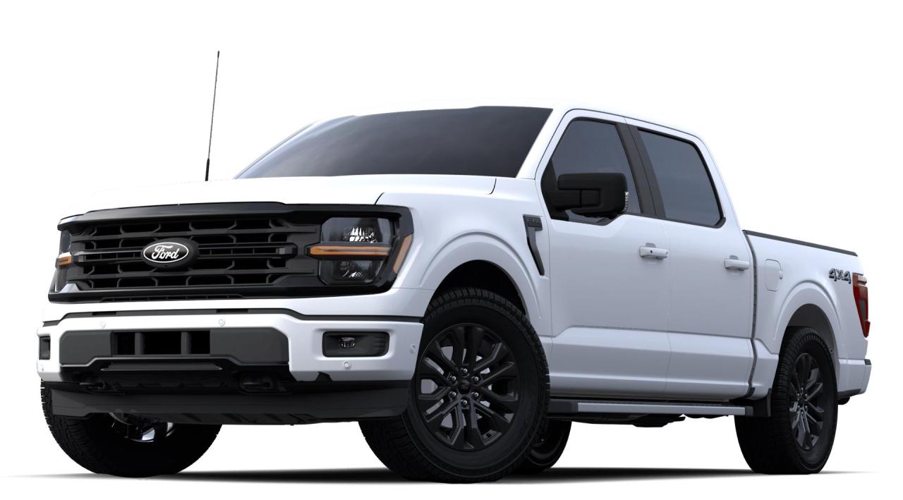 New 2024 Ford F-150 XLT 4WD SUPERCREW 5.5' BOX for sale in Port Hawkesbury, NS