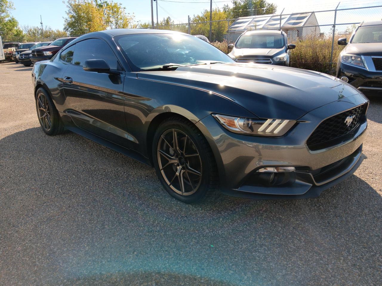 Used 2015 Ford Mustang Premium, Lthr, Nav, Bu Cam, Shaker Sound, Htd cool for sale in Edmonton, AB