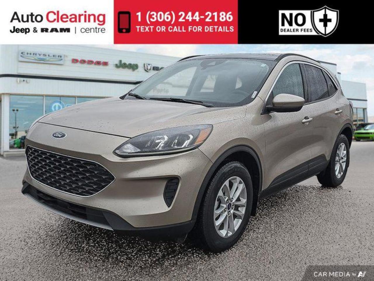 Used 2020 Ford Escape SE for sale in Saskatoon, SK