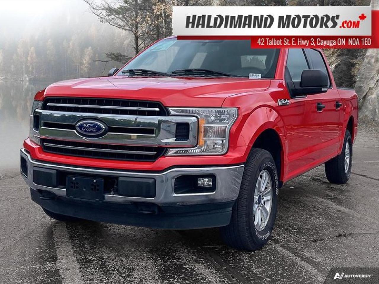 Used 2019 Ford F-150 XLT for sale in Cayuga, ON