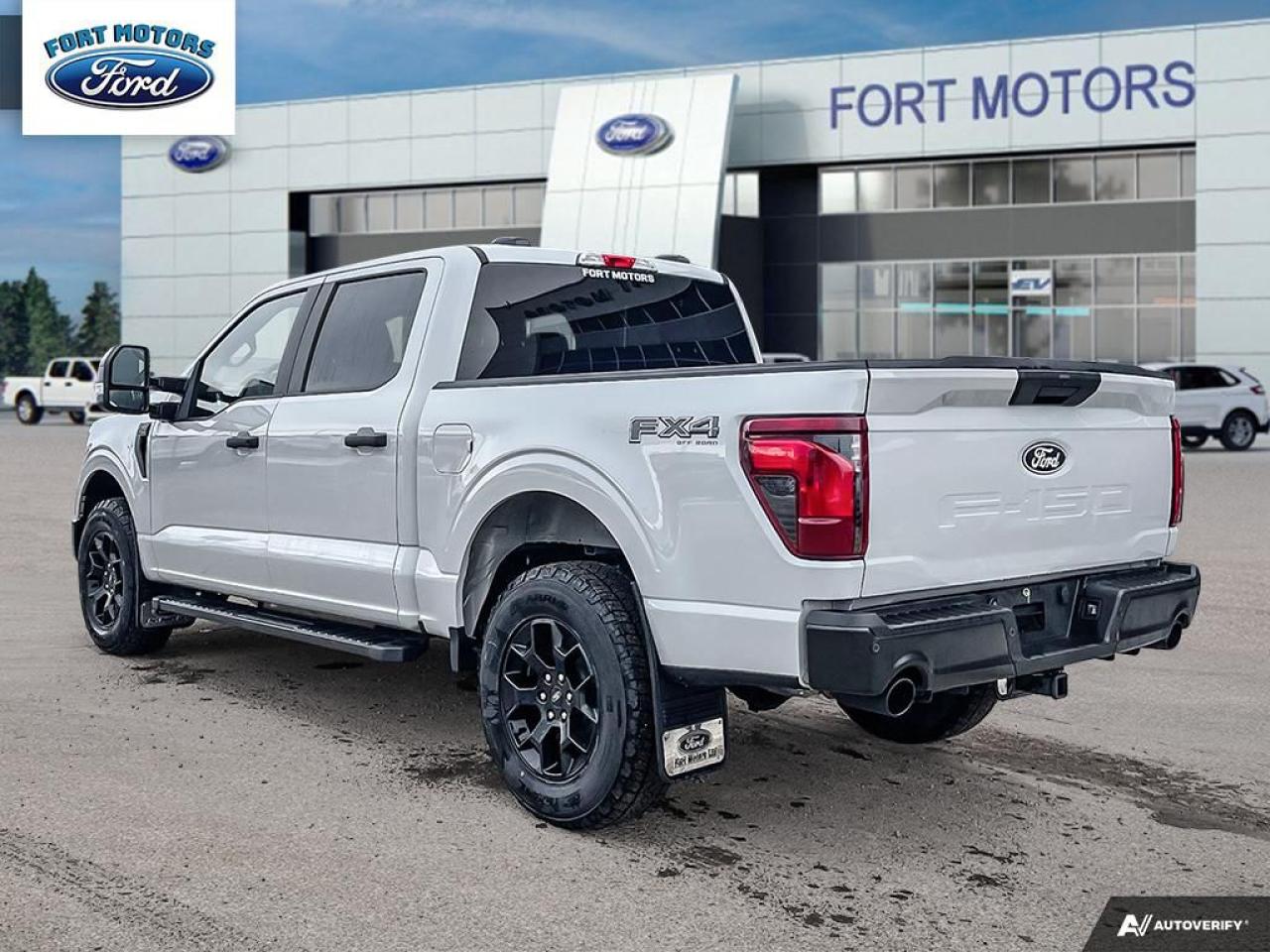 2024 Ford F-150 STX® Photo3