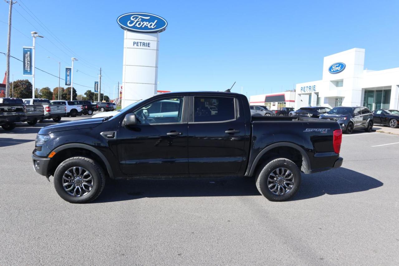 Used 2021 Ford Ranger XLT for sale in Kingston, ON