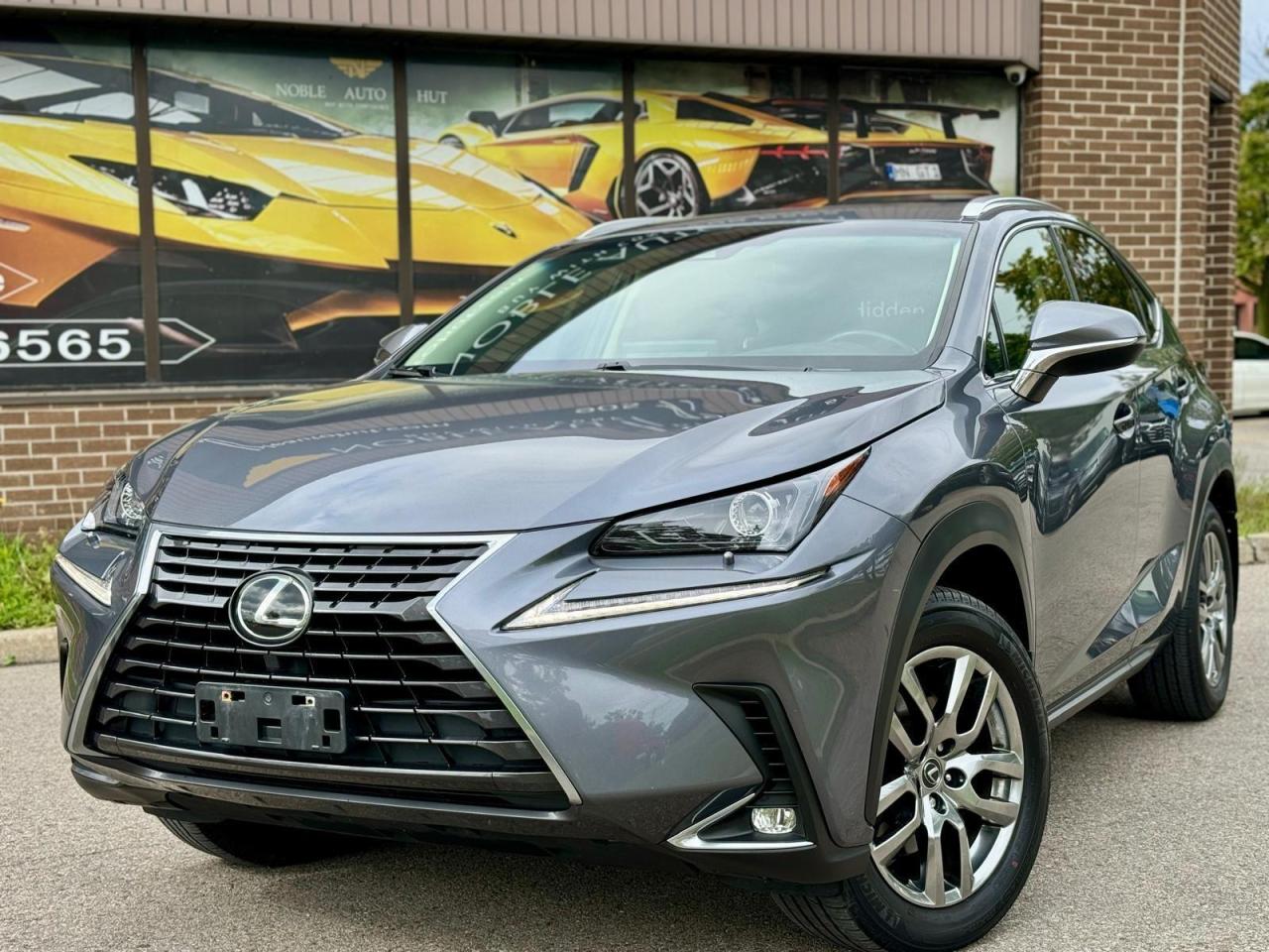 2019 Lexus NX  Photo2