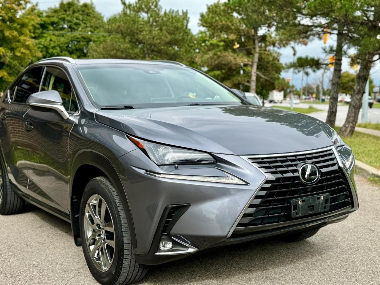 2019 Lexus NX  Photo3