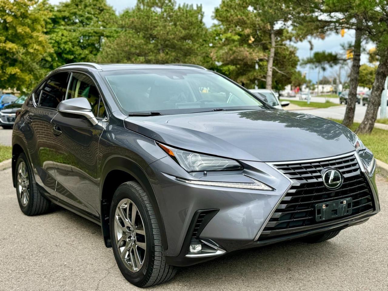 2019 Lexus NX  Photo4